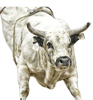 PBR Default Image
