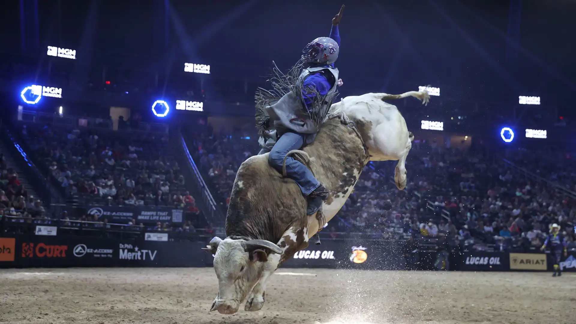 BS Cattle Company’s Bang For Your Buck Sale set to invade Fort Worth Stockyards May 10