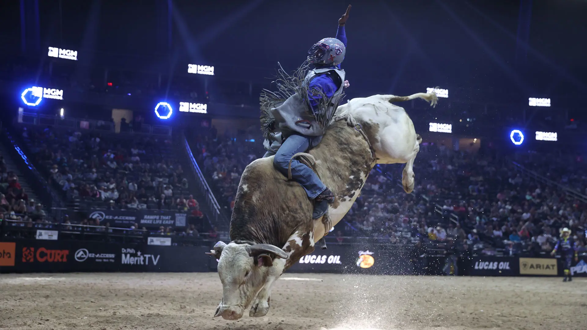 BS Cattle Company’s Bang For Your Buck Sale set to invade Fort Worth Stockyards May 10