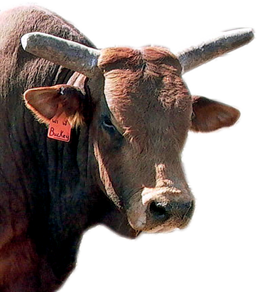 PBR Default Image