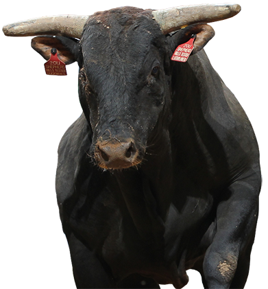 PBR Default Image