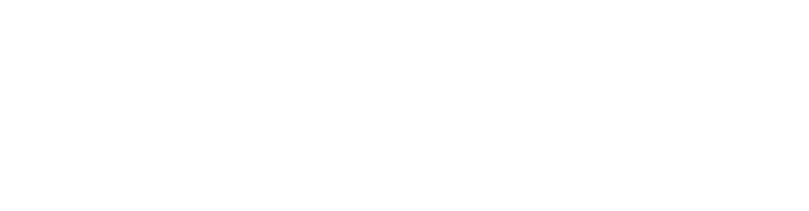 True Vet Solutions