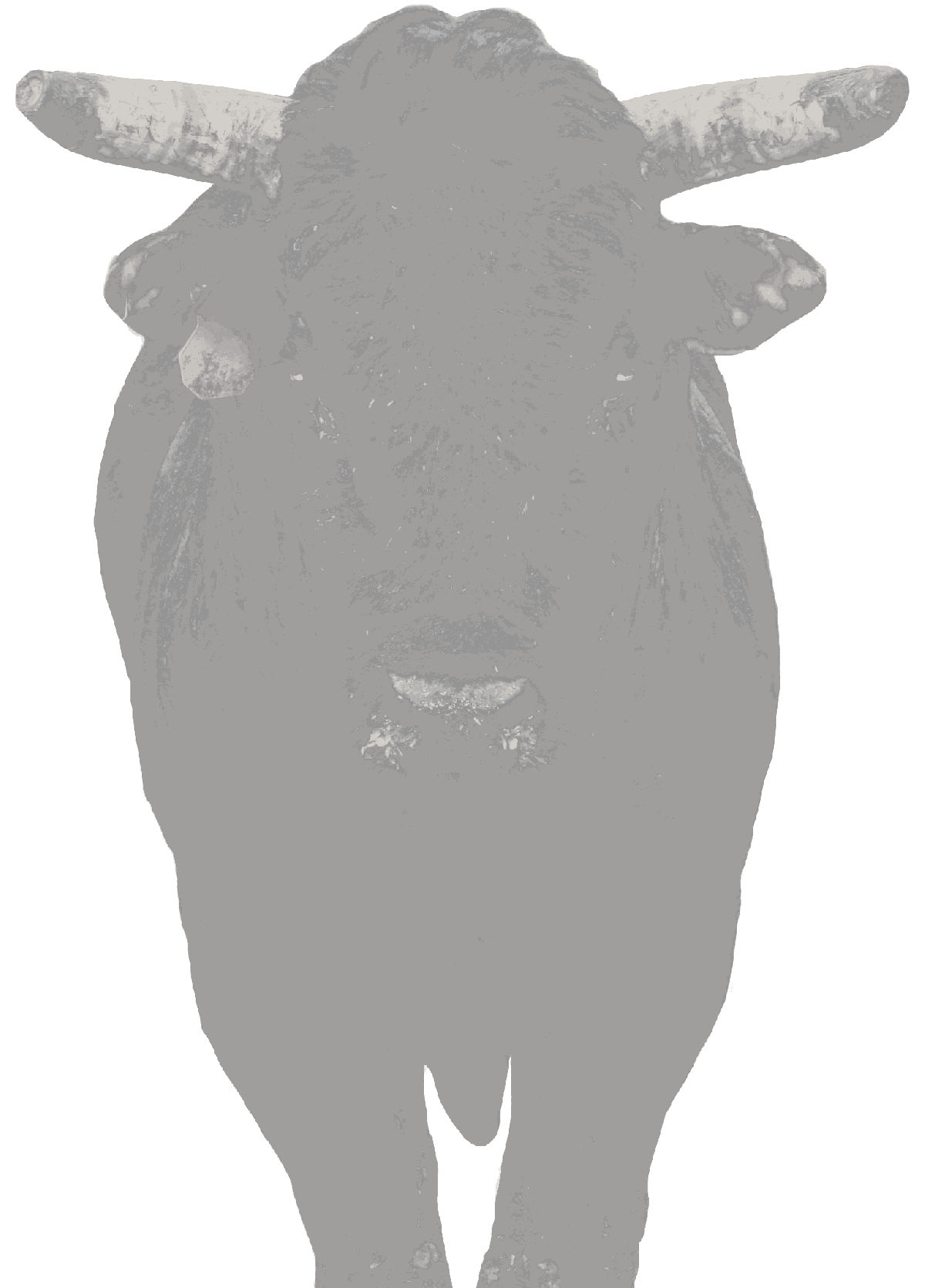 PBR Default Image