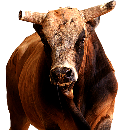 PBR Default Image