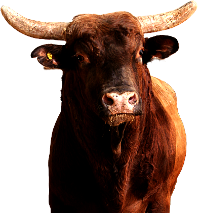 RMEF Gunpowder & Lead