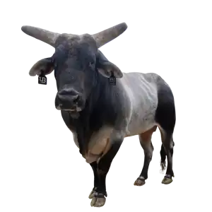 UTZ BesTex Smokestack