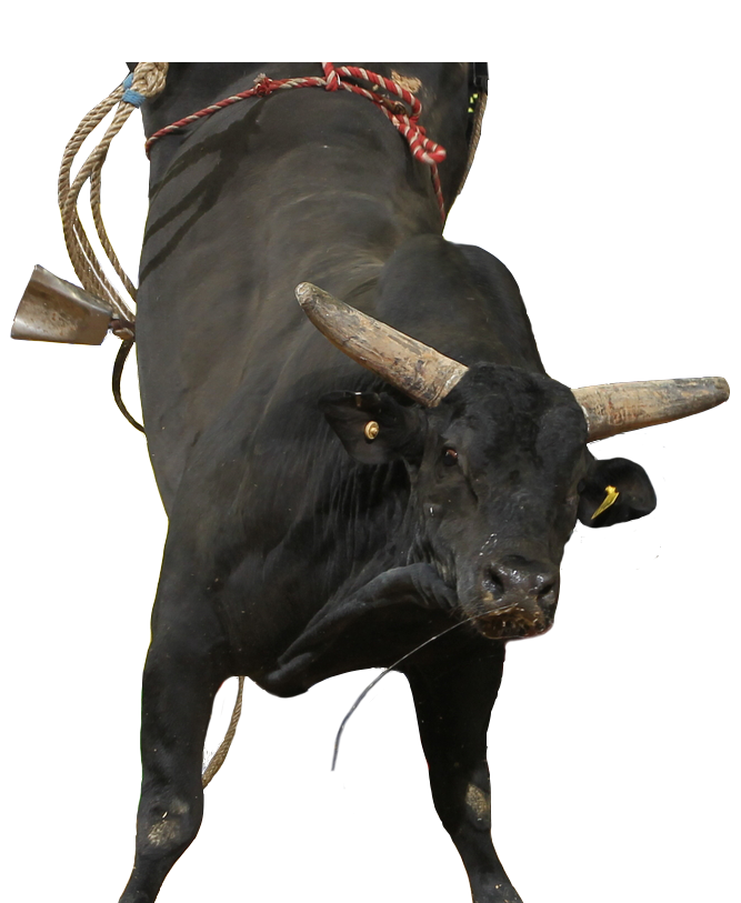 PBR Default Image