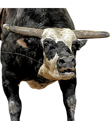 PBR Default Image