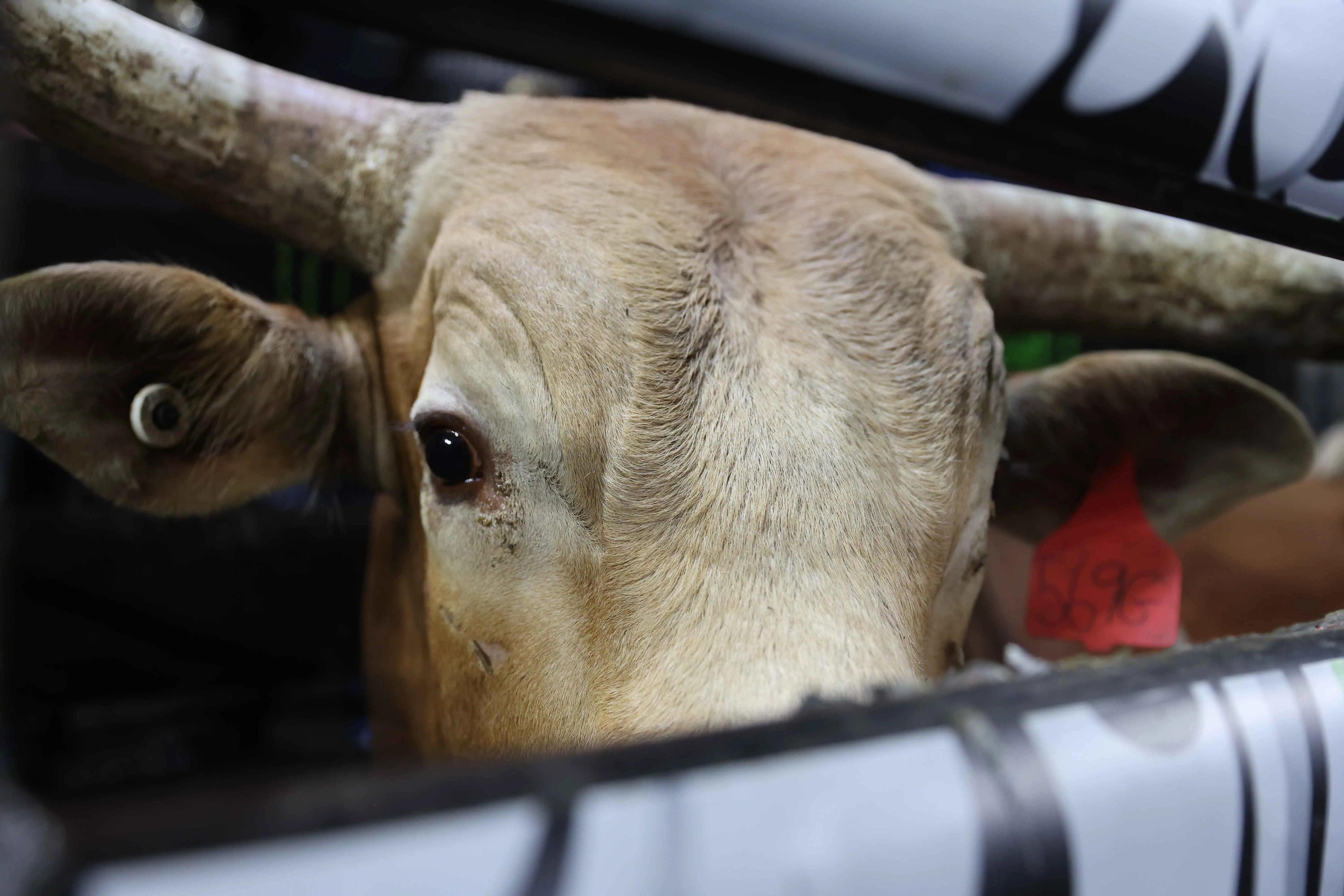 25 LIVE Tacoma 01 172