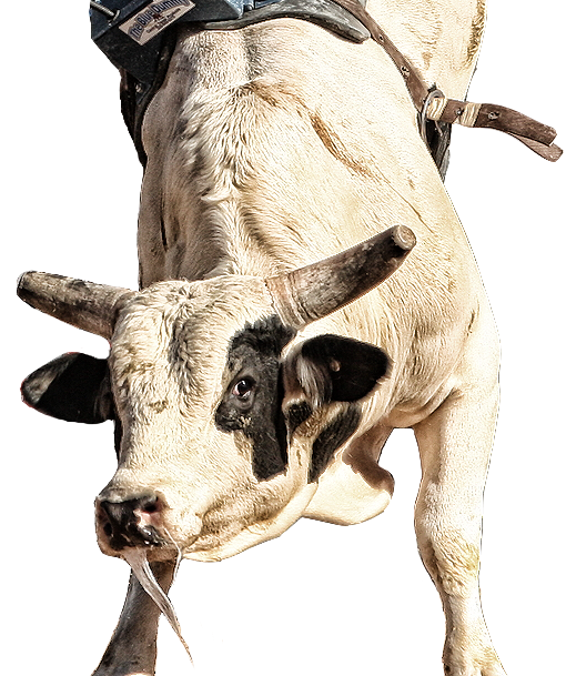 PBR Default Image